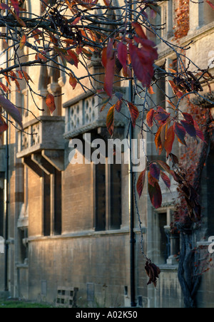 Magdalen College St Swithuns Gebäude im Herbst Stockfoto