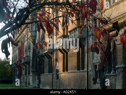 Magdalen College St Swithuns Gebäude im Herbst Stockfoto