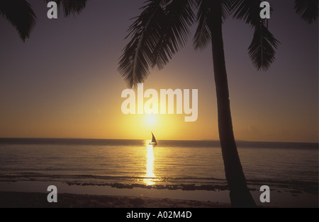 Untergehende Sonne und Segelboot umrahmt von Palme in der Bazaruto Archipel-Mosambik Stockfoto