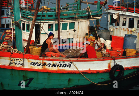 Angelboote/Fischerboote am Hafen mit einem frischen Fang Hua Hin Südthailand Foto J Marshall Stockfoto