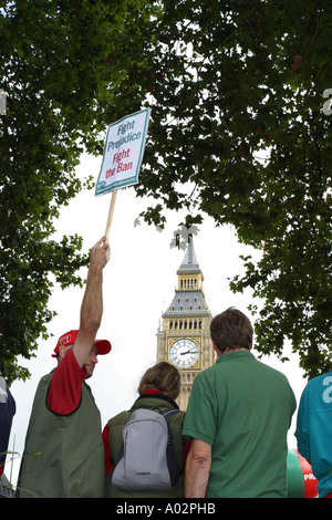 Pro Jagd Demonstranten im Parlament Square Westminster in London vor dem House of Parliament Stockfoto