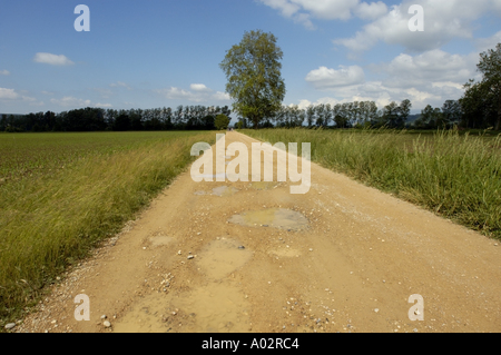 Leere gerade Landschaft Feldweg in Richtung Maisfelder im Frühling Stockfoto