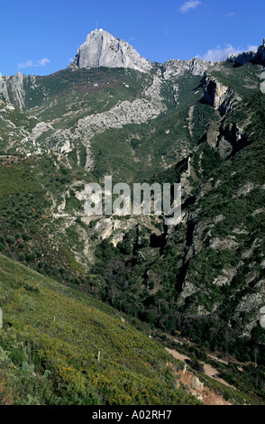 Frankreich Provence Sainte Baume Berg Stockfoto