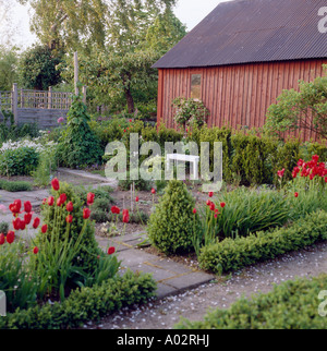 Rote Tulpen in formalen gepflasterte Terrasse mit beschnittenen Sträuchern und niedrigen Buchsbaumhecken vor der Holzgebäude Stockfoto