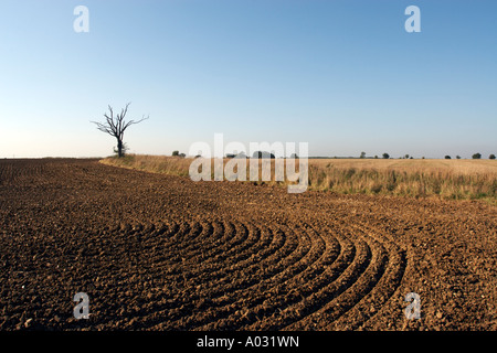 Ackerflächen Stockfoto