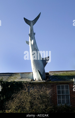 Hai-Skulptur im Dach des Hauses in Heddington Oxford UK Stockfoto