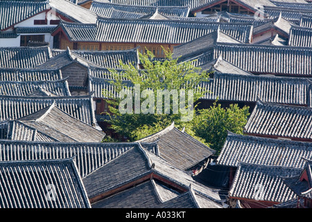 Die Dächer der Altstadt von Lijiang China 2 Stockfoto