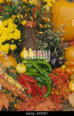 Bauernmarkt: Ernte von Gemüse Obst und Blumen, Vermont USA Stockfoto