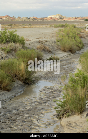 Bachbett in der Bisti Wilderness einen trockenen Gegend in der Nähe der vier Ecken Region von New Mexiko. Digitale Fotografie Stockfoto