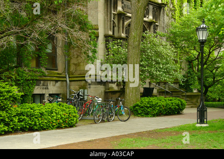 Fahrräder, Bäume, Rasen und gotische Architektur der Universität auf dem Campus der University of Chicago. Stockfoto