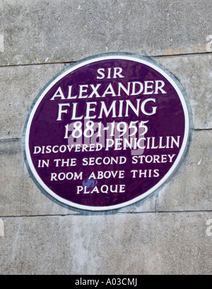 Plaque Commerating Sir Alexander Fleming (1881-1955) St. Marien Hospital, Paddington, London, England UK Stockfoto