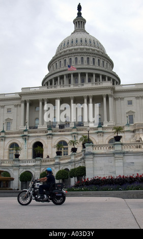 Kapitol, Washington D.C. USA Stockfoto