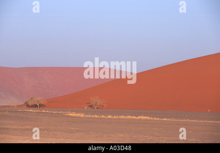 Düne 45 Sesriem Namib Naukluft Park Namibia 2000 Stockfoto
