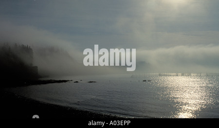 Abbildung des Nebelbank auf Grand Manan Island New Brunswick Stockfoto