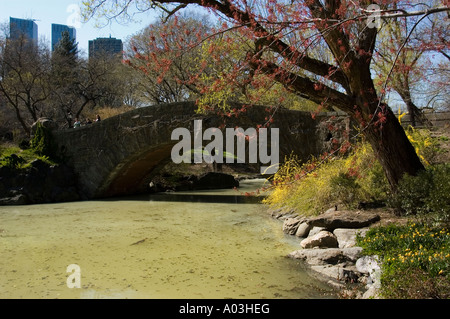 New York City New York Frühling mit Blüten im Central Park. Stockfoto