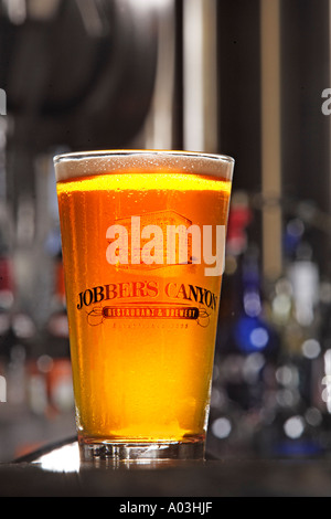 Ein hoch Pint Bier Stockfoto