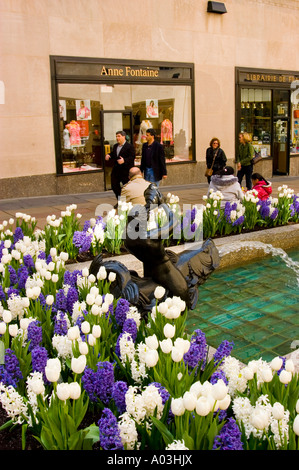 New York City New York Blumen im Rockefeller Center Tulpen und Hyazinthen Stockfoto