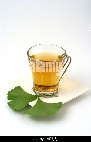 Ginkgo-Aufguss Stockfoto