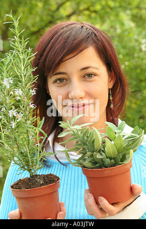 Abhaltung von Rosmarin und Salbei Stockfoto