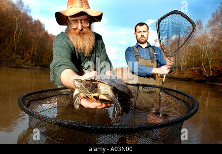 Notvermittlung räuberische Sumpfschildkröten nach Ninja Schildkröte Verrücktheit Stockfoto