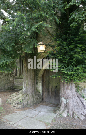 Eibe Bäume wachsen auf der Nord-Tür von der Pfarrkirche von Stow auf die würden in den Cotswolds Stockfoto