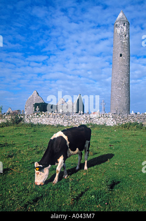 Kilmacdaugh, Co. Galway, Irland Stockfoto