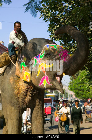 Mahout (Elefanten-Handler) mit bemalten Elefanten, Jaipur, Rajasthan, Indien Stockfoto