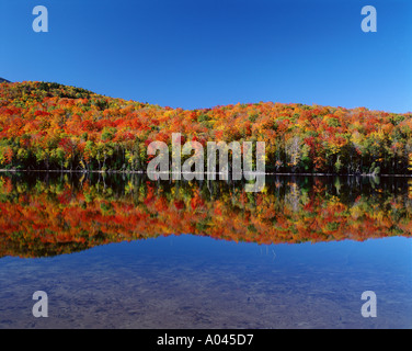 USA New York Adirondack State Park Herz See Spiegelung von Herbstfarben in See Stockfoto