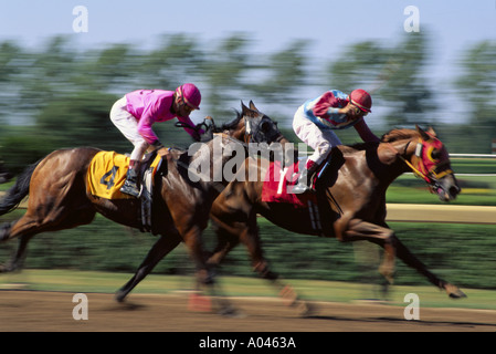 zwei Jockeys auf Vollblut-Pferde Rennen verwischt Effekt Stockfoto