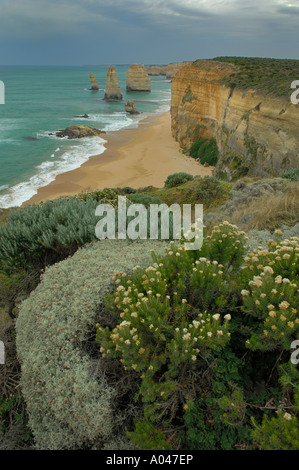 Die 12 Apostel auf der Great Ocean Road, Victoria, Australien Stockfoto