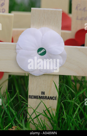 Gedenktag weißen Mohn auf hölzernen Kreuz symbolisiert Frieden Stockfoto