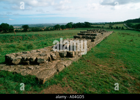 Überreste der römischen Mauer Hadrian gebaut von Römern auf schottischen Grenze in der Nähe von Carlisle Stockfoto