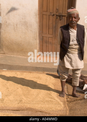 KHOKANA NEPAL November Dorfbewohner stehen neben der Reisernte auf einem Reed-Teppich zum Trocknen in die Sonne gelegt Stockfoto