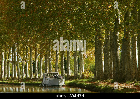 CANAL DU MIDI - CAPESTANG - LANGUEDOC-ROUSSILLON - FRANKREICH Stockfoto