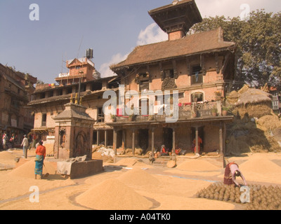 BHAKTAPUR NEPAL November die Töpfe und Reisernte zum Trocknen in die Sonne in Potters Square in dieser Stadt Anhänger ausgebreitet sind Stockfoto