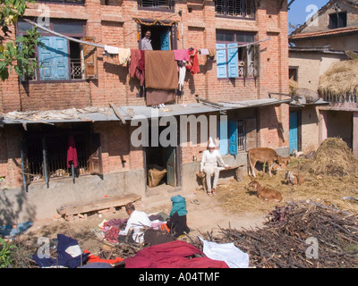DHULIKHEL Tal NEPAL Asien November A typischen Newari-Einfamilienhaus mit Tieren und waschen auf Büsche zum Trocknen ausgebreitet Stockfoto