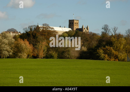 Fernblick von St Albans Kathedrale über Herbst farbige Bäume von Verulamium Park aus gesehen Stockfoto