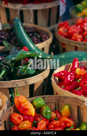 Ein Gemüse Stand mit frischem Gemüse auf einem Bauernmarkt in Portland, Oregon. Stockfoto