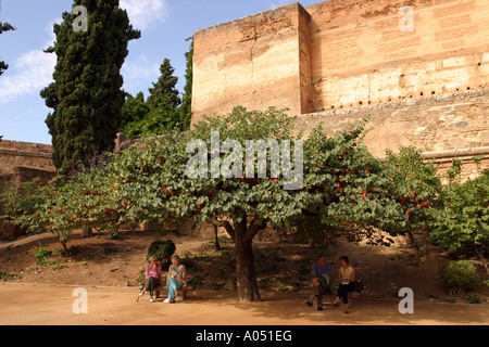 Touristen sitzen in shade.under großer Baum in der Alhambra Garten, Granada, Spanien Stockfoto