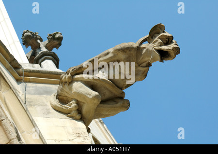 Gargoyle außerhalb St. Quintinus Kathedrale, Hasselt, Limberg, Belgien Stockfoto