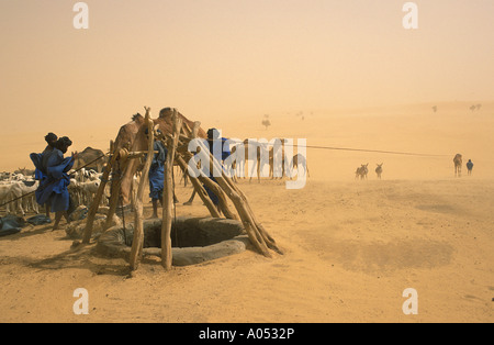 Tuareg-Händler ziehen Wasser aus einem Brunnen, großen Sahara Mali, Afrika. Stockfoto