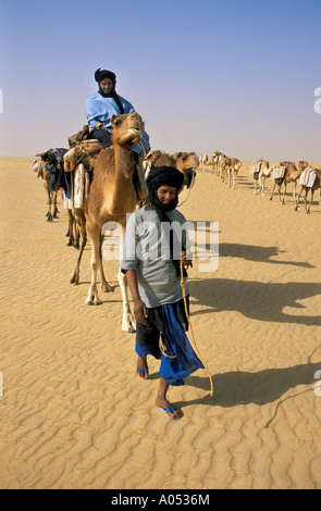 Salz Wohnwagen in großen Sahara Mali, Afrika. Stockfoto