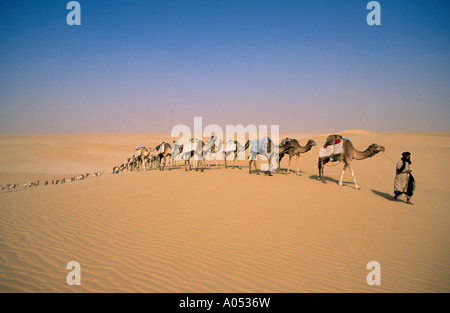 Salz Wohnwagen in großen Sahara Mali, Afrika. Stockfoto