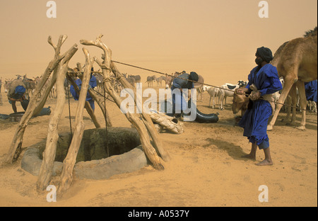 Tuareg zieht Wasser aus der Wüste auch in der großen Sahara Mali, Afrika. Stockfoto