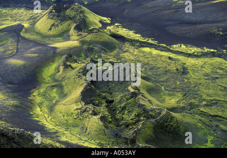 Laki vulkanische Kegel nach 1783 Eruption, Island. Stockfoto