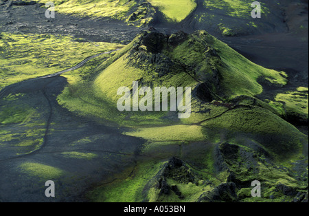 Laki vulkanische Kegel nach 1783 Eruption, Island. Stockfoto