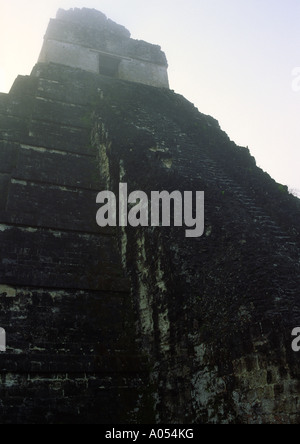 Tempel des großen Jaguar im Nebel, (Tempel ich) Tikal, El Petén, Guatemala Stockfoto