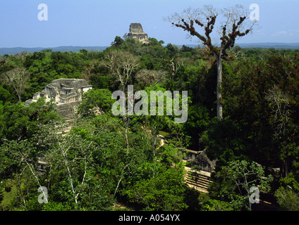 Tempel IV von El Mundo Perdido, Tikal, El Petén, Guatemala Stockfoto