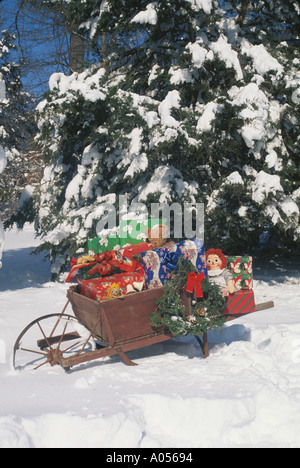 Antike Schubkarre mit Weihnachtsgeschenken im Schnee neben einer Zedernbaum, USA Stockfoto