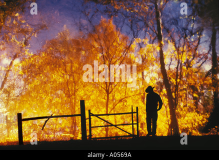 Silhouette der Mann mit Hut vor dem Zaun mit goldenen Herbst Laub beleuchtete auf Bäume, die Flammen sieht, Midwest USA Stockfoto